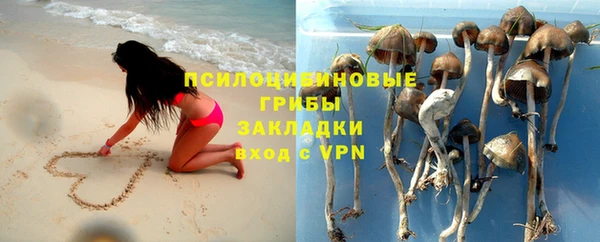 a pvp Аркадак