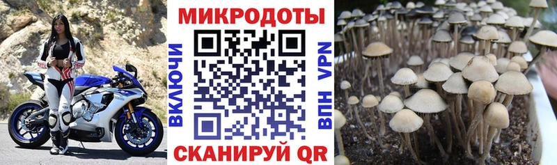 Псилоцибиновые грибы GOLDEN TEACHER  Фролово 